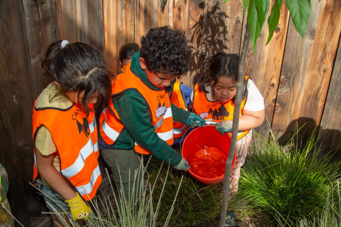 Partnership with Canopy